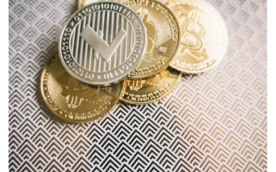 Defend Your Digital Kingdom: Token Founders & Online Crisis