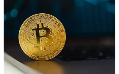 Social Proof: Friend or Foe in the Crypto Arena?