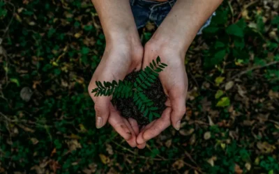 Tokenomics and Long-Term Vision: Building a Sustainable Future for [Project Coin]