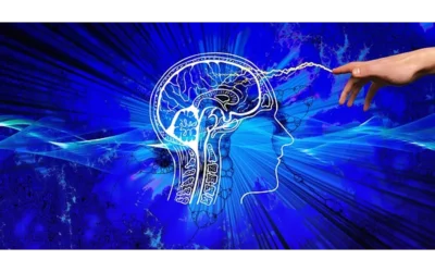 Token Triumphs & Tribulations: Decoding the Psychology of Social Proof