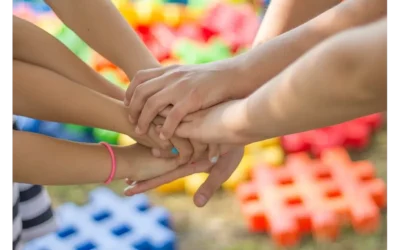 Our Secret Weapon: How Our Community Vetted Our VCs