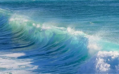 Riding the Wave: Loss Aversion, FOMO and Ethical Scarcity in Token Launches