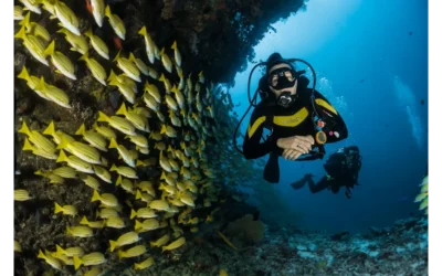 Diving Deep: My Tokenomics Modelling Adventure (And Why You Need One Too!)