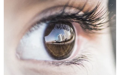 Beyond the Paycheck: Influencer Altruism and Your Token’s Vision