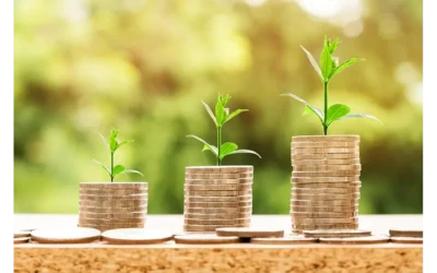 Decoding Crypto ROI: Beyond the Hype