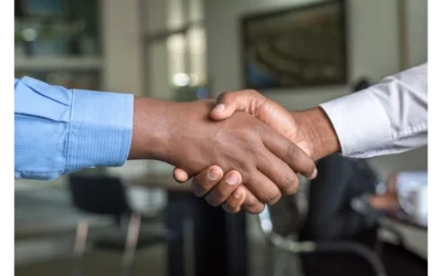 Unveiling Trust: Transparency as Social Proof in Token Launches