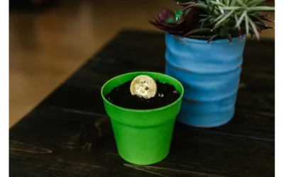 Picture Perfect Pitch: Cracking the Code of Visual Storytelling for Token Finance