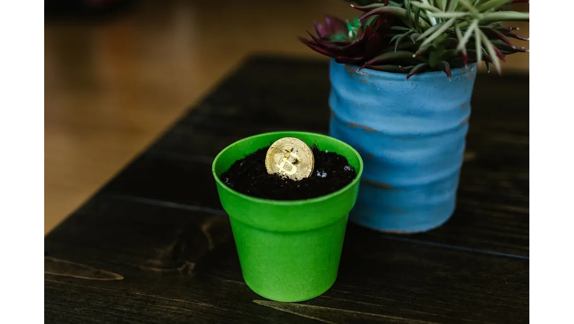 CImagesfd6f2729-7dcc-4cf2-a96d-8132e97bc61e