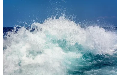 Riding the Crypto Tide: Timing is Everything!