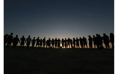 Echolocation for Tokens: Hearing What Your Community Truly Thinks