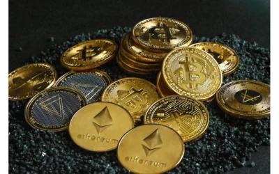 From Lurker to Lifeline: My Journey Empowering a Crypto Community for Crisis Response