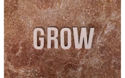 Beyond the Hype: My Deep Dive into Educating Influencers for Token Community Growth